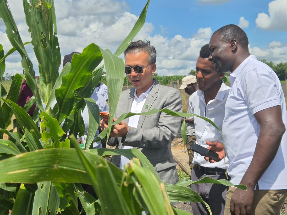 Partner delegation reviewing feasibility study field sites.